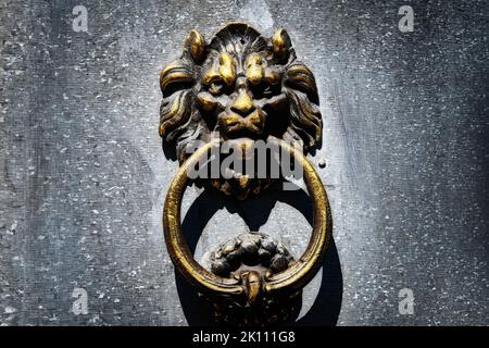 Brass lion head shaped door knocker Stock Photo