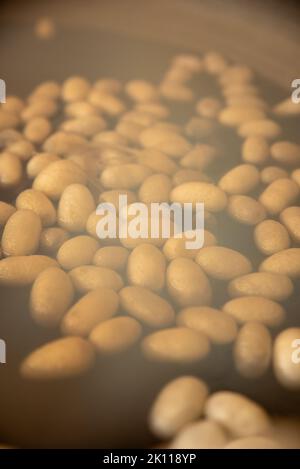 cocoons of white silkworms bred to produce silk , raw silk Stock Photo