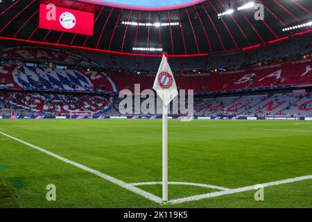 A general view of the Allianz Arena and UEFA Champions League branding  pitch side before the match Stock Photo - Alamy