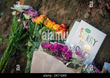 London, UK. 14th Sep, 2022. Thousands of people have left floral tributes, cards and messages for Her Majesty Queen Elizabeth II, who died on September 8th, aged 96. Photo Horst A. Friedrichs Alamy Live News Stock Photo