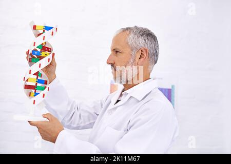 Holding the code for every cell in your body. a mature male scientist examining a model of a DNA molecule. Stock Photo