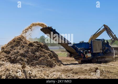 The roots of trees that are being shredded into chips on the ground in preparation for building housing developments are being shredded with the Stock Photo