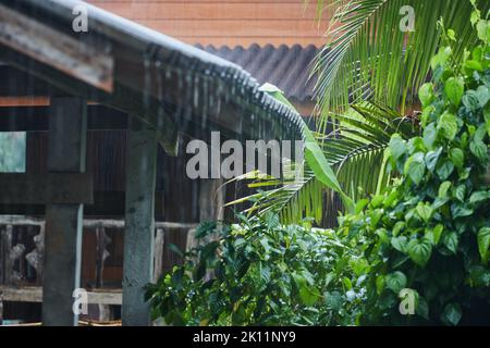 Rainy season in rural scene Stock Photo