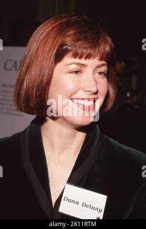 Dana Delaney Circa 1980's Credit: Ralph Dominguez/MediaPunch Stock