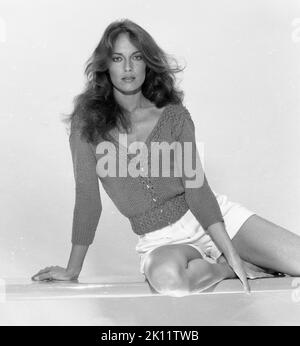 Catherine Bach poses for a portrait circa 1984 in Los Angeles, California Credit: Credit: Harry Langdon /Rock Negatives /MediaPunch Stock Photo