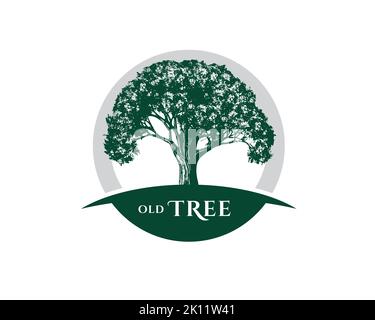Vintage Old Oak Maple Tree logo design Stock Vector