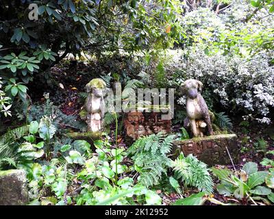 Family dogs graveyard at Glenwhan gardens,Glenwhan House,Dunragit , Dumfries & Galloway, Scotland.jpg - 2K