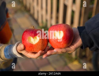 woman's hand and child's hand hold two large red apples with hearts carved into them. The concept of friendly relations in the family, mother's day, h Stock Photo