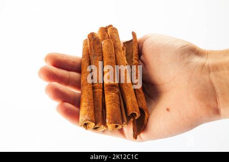 Cinnamon sticks on palm of a hand isolated on white background, roll, aroma, herb Stock Photo