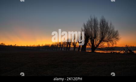 Silhouette trees along the Clutha river at sunset, Balclutha, South ...