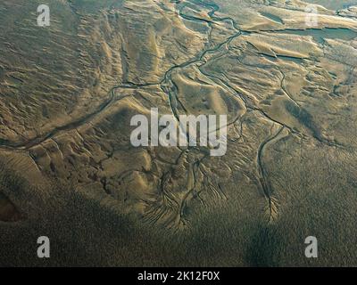 YANCHENG, CHINA - SEPTEMBER 12, 2022 - An aerial view of the 'tidal trees' at the Tiaozi mud Wetland scenic spot near the Yellow Sea in Yancheng city, Stock Photo