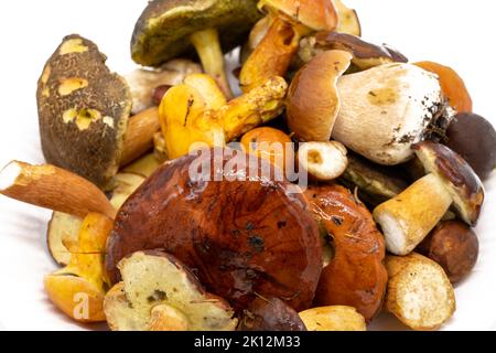 Mixture of fresh mushrooms from the forest Stock Photo