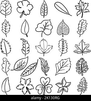 Leaves Hand Drawn Doodle Line Art Outline Set Containing leaf, leaves, frond, needle, petal, stalk, blade, bract, flag, leaflet, pad, petiole, scale Stock Vector