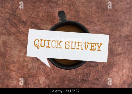 Sign displaying Quick Survey. Business overview Conduct fast check on condition value situation of something Stock Photo