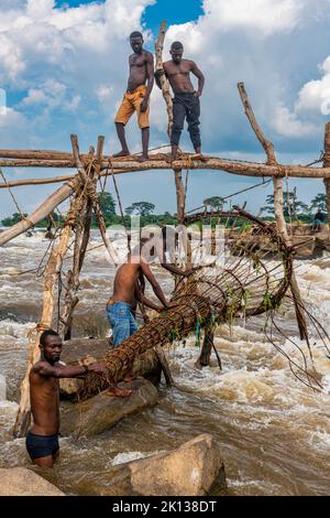 Indigenous fishermen from the Wagenya tribe, Congo River, Kisangani, Democratic Republic of the Congo, Africa Stock Photo