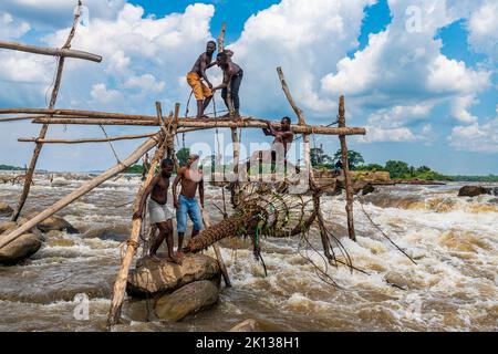 Indigenous fishermen from the Wagenya tribe, Congo River, Kisangani, Democratic Republic of the Congo, Africa Stock Photo