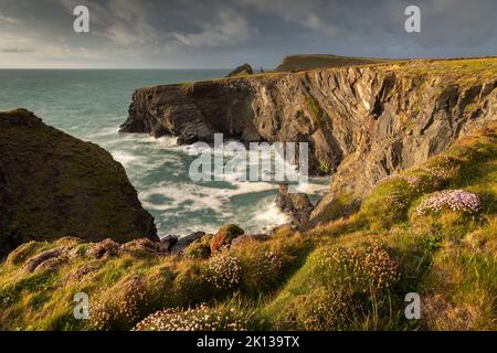 Dramatic cliff top scenery near Padstow on the North Coast of Cornwall, England, United Kingdom, Europe
