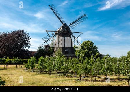 Deutschland, Coesfeld, Coesfeld-Lette, Berkel, Baumberge, Muensterland, Westfalen, Nordrhein-Westfalen, NRW, Letter Windmuehle, Kappenwindmuehle, Turm Stock Photo