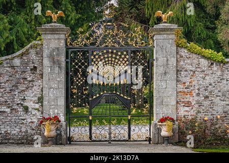 Beautiful, ornate wrought iron gate with golden details in Powerscourt gardens, Wicklow, Ireland. Brick wall with closed gate and forest in background Stock Photo