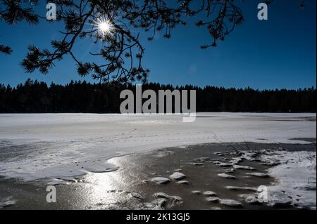 Am Etang de la Gruère in der Gem. Saignelégier am 15.01.2022. Stock Photo