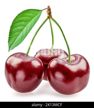 Sweet cherries with leaf isolated on white background. Stock Photo