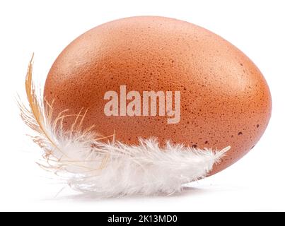Brown chicken egg and chicken feather isolated on white background. Stock Photo