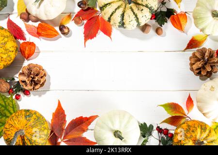 Pumpkins with autumn fall red, yellow, orange leaves, nuts, acorns, autumn wild forest berries, cones on white plank wooden table. Autumn Harvest Tabl Stock Photo