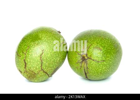 Walnut in cracked pericarp isolated on white background. Two walnuts in a green pericarp Stock Photo