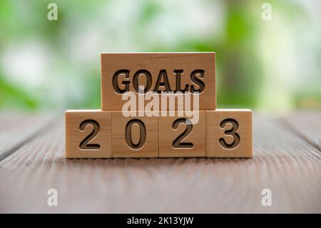 Goals 2023 text engraved on wooden blocks with blurred park background. New year concept. Stock Photo