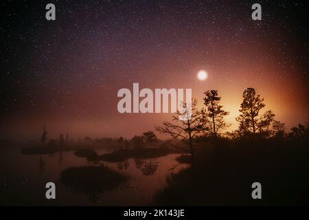 Dramatic Twilight Sky With Rising Planet Venus Over Swamp Landscape. Misty Morning Time. Soft Colors. Amazing Glowing Stars Effects Above Lonely Trees Stock Photo