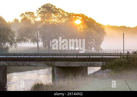 Sunlight shining through a tree on a misty morning on the River Don, Dice, Scotland Stock Photo