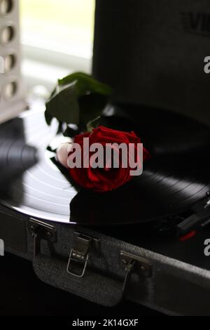 A vertical of a red rose on a vinyl record. Stock Photo