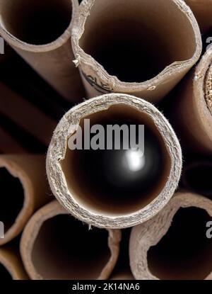 Ends of Large Cardboard Tubing, one of which is showing light at the end, concept of light at the end of the tunnel Stock Photo