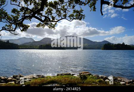 Irish coast near Derreen Gardens, County Kerry - John Gollop Stock Photo