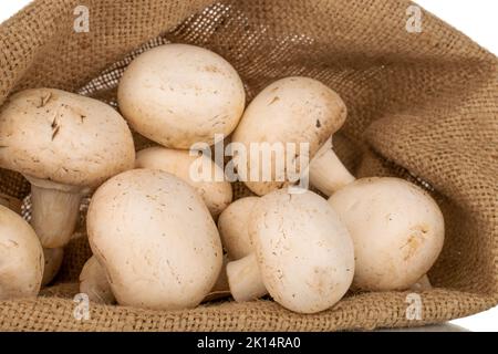 Several fresh mushrooms in a jute bag, close-up. Stock Photo
