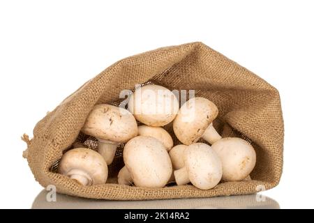 Several fresh mushrooms in a jute bag, close-up, isolated on white background. Stock Photo