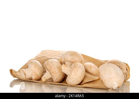 Several fresh mushrooms on a paper bag, close-up, isolated on a white background. Stock Photo