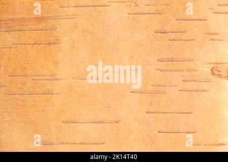 The texture of birch bark. Background of birch bark. Red birch bark. The texture of white birch bark. Stock Photo