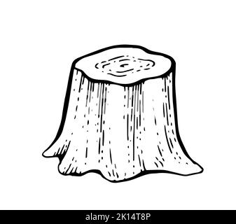 Simple Wooden stump. Remaining tree with roots. Forest or garden plant. Hand drawn outline sketch. Isolated on white background. Vector. Stock Vector