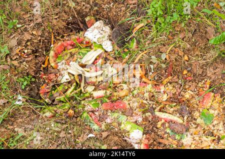 Composting pile of rotting kitchen fruits and vegetable scraps stacked in a pit on the ground Stock Photo