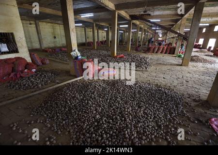 Potato drying and segregation area of a cold storage. West Bengal ...