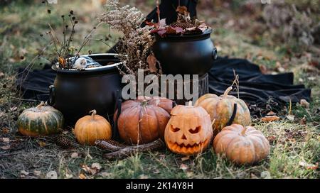 Halloween background. Spooky pumpkin head jack lantern on dark forest. Halloween design banner. Autumn card Stock Photo