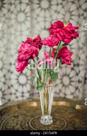 dying magenta pink peony flowers in crystal vase on ornate brass tray table with gray patterned curtain backdrop Stock Photo