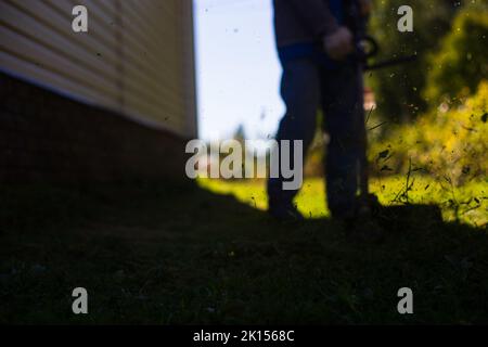 Man mowing tall grass with electric or petrol lawn trimmer in backyard. Gardening care tools and equipment. Process of lawn trimming with hand mower Stock Photo