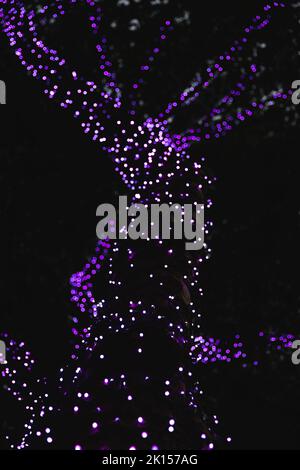 Purple fairy lights wrapped around a tall tree and showing pattern and outline of trunk and branches Stock Photo