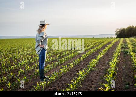 Satisfied female farmer is looking at corn field in cultivated land. Woman with straw hat standing in agricultural field Stock Photo
