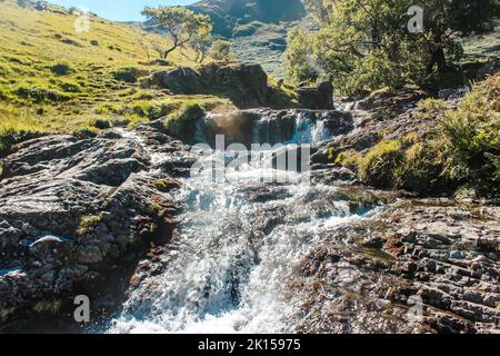 Beautiful waterfall stream in the Watkin Pools in Snowdonia National Park in Wales in summer Stock Photo