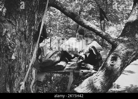 Two brothers share the joy of reading a comic book while hanging out in their tree fort. A hardcover copy of King Arthur can be seen on the floor of the fort. Stock Photo