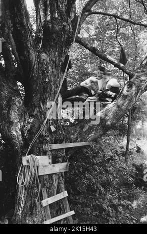 Two brothers share the joy of reading a comic book while hanging out in their tree fort. Stock Photo