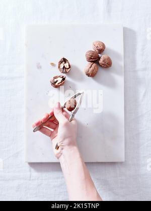 Crop person opening walnuts with a cracker on white background Stock Photo